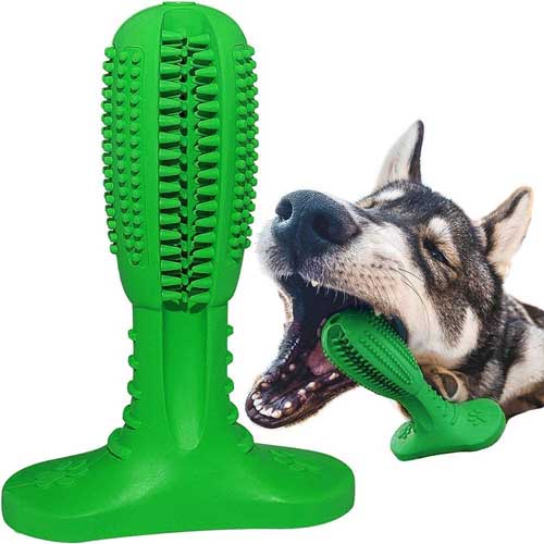 Instrument practic - periuță de dinți pentru câine